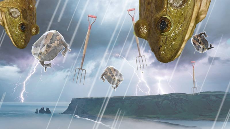 its raining bullfrogs and pitchforks
