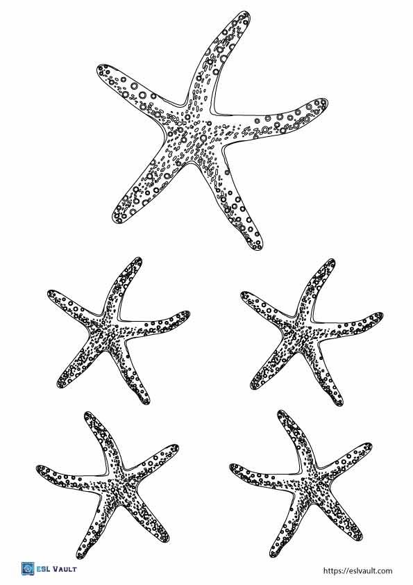 free printable starfish outlines