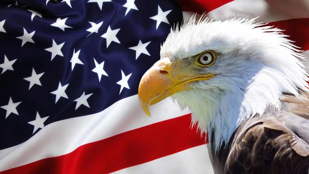 american flag and eagle