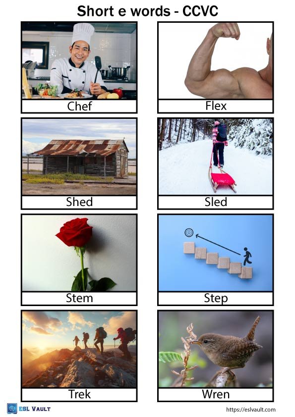short e words with pictures ccvc