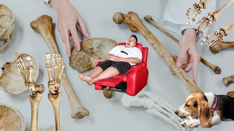 expression lazy bones idiom