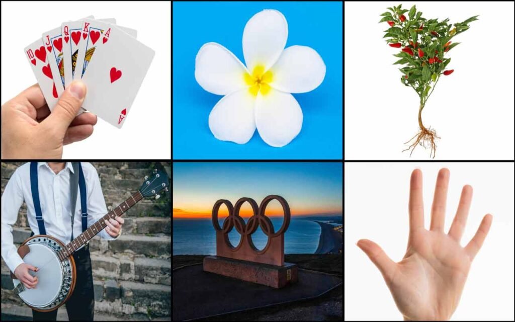 things that come in fives