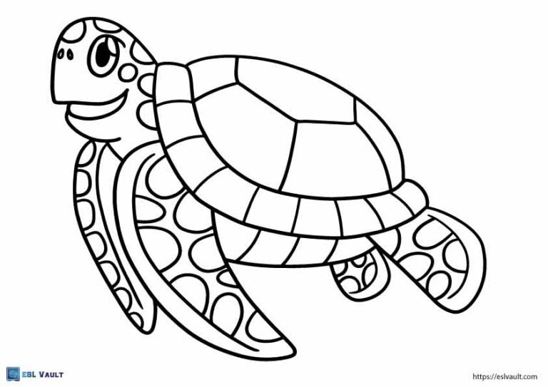 cute sea turtle coloring page easy