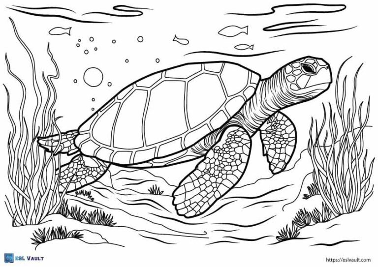 realistic sea turtle coloring page