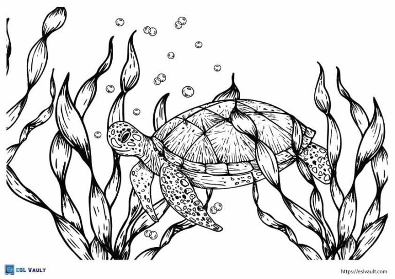 realistic sea turtle coloring page kelp
