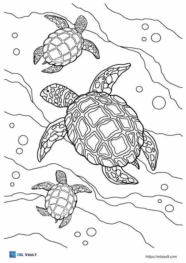realistic sea turtle coloring pages 3