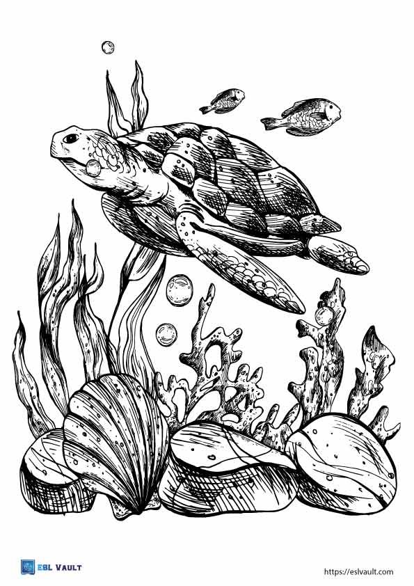 realistic sea turtle coloring sheet
