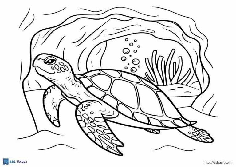sea turtle coloring page printable