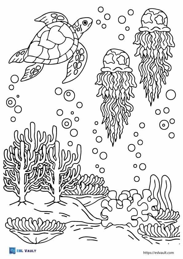 sea turtle coloring sheet