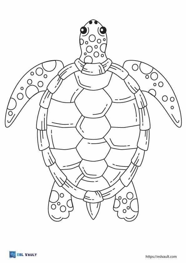 simple sea turtle coloring page