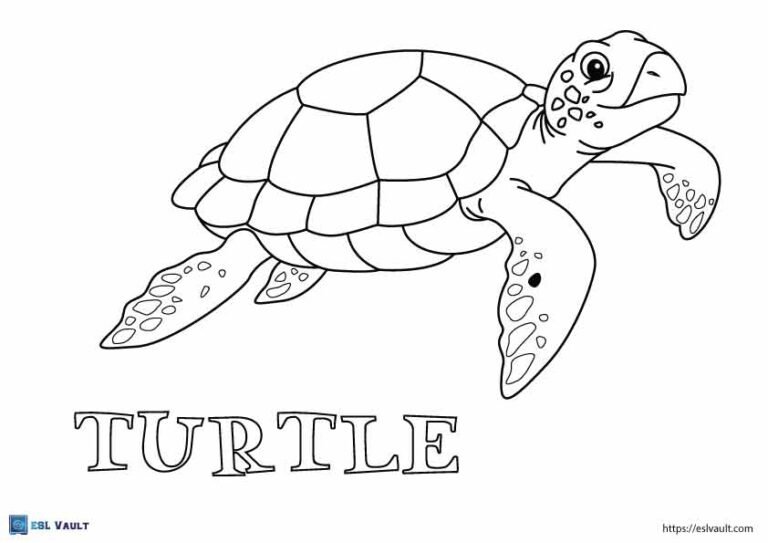spelling turtle coloring page