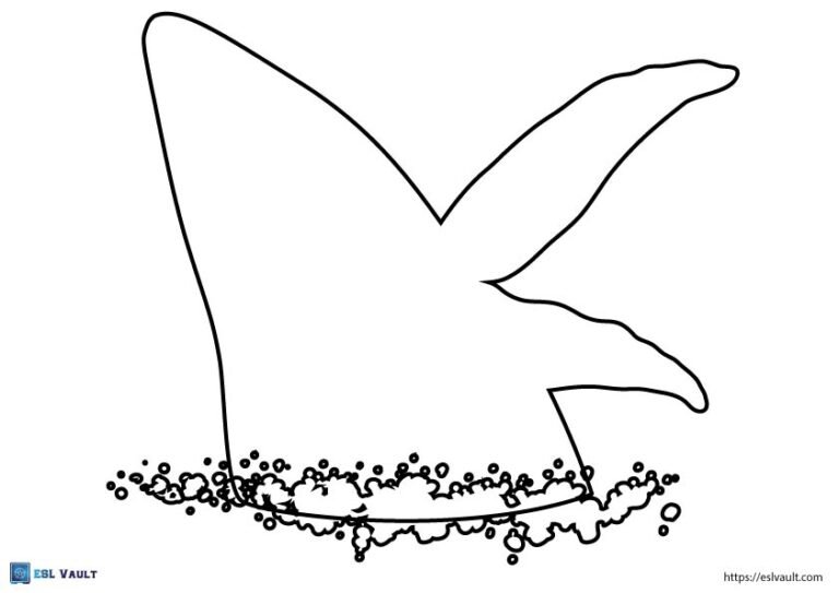 breaching whale outline template