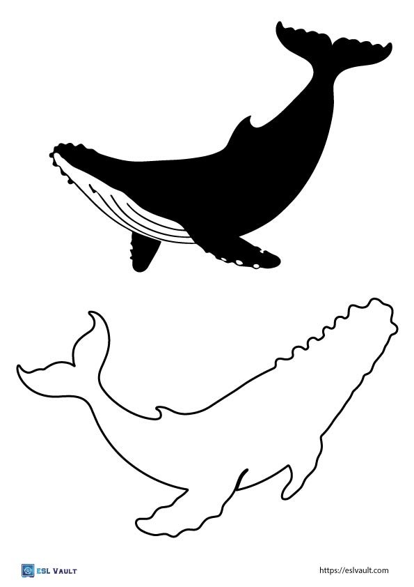 free whale templates and outlines