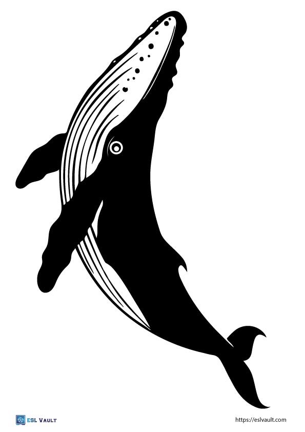 printable humpback whale template