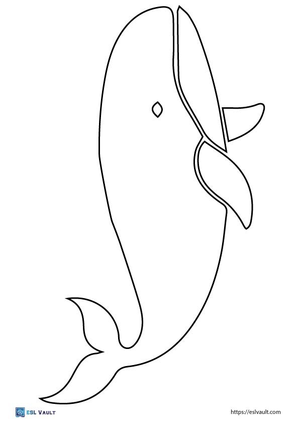 whale outline for kids