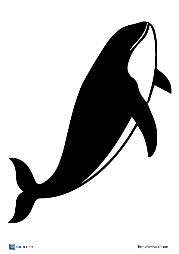 whale template pdf