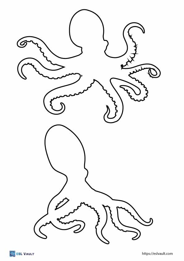 octopus outline drawings