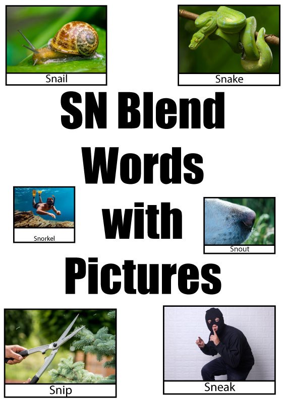 Snake Word Find SN Blend Words With Pictures – List and Activities